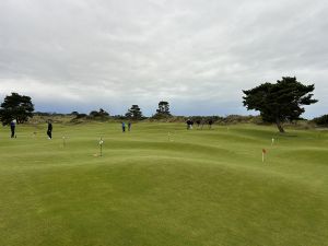 Punchbowl Green 2024